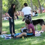 picnic of berguzar korel 17