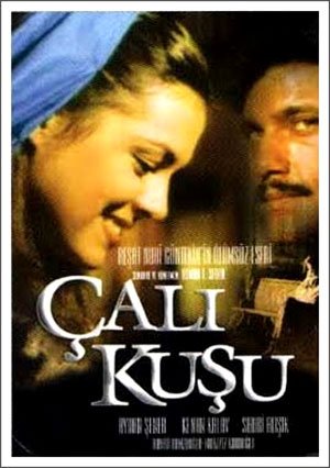 Aydan Sener and Kadir Kalav Wren-Lovebird 1986 Calikusu