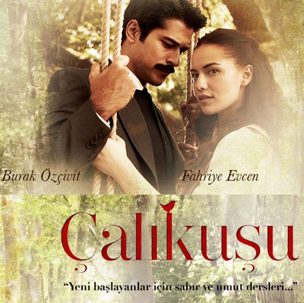 Wren Lovebird Calikusu Turkish tv series Poster